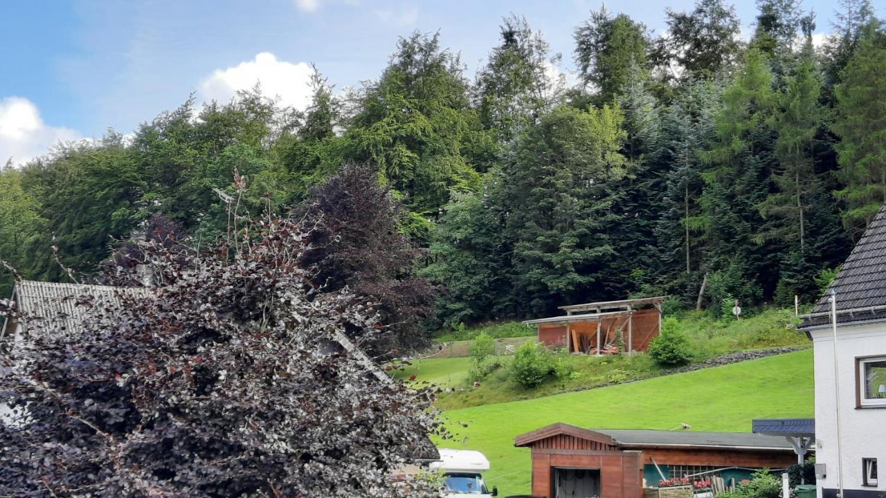 Yalet Ferienhaus 2 Appartementen Vlakbij Willingen Brilon-Wald Exterior foto