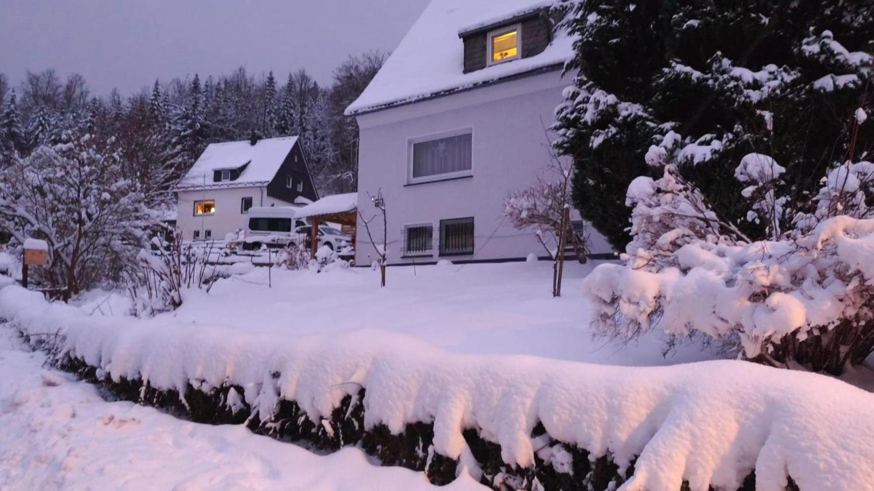 Yalet Ferienhaus 2 Appartementen Vlakbij Willingen Brilon-Wald Exterior foto